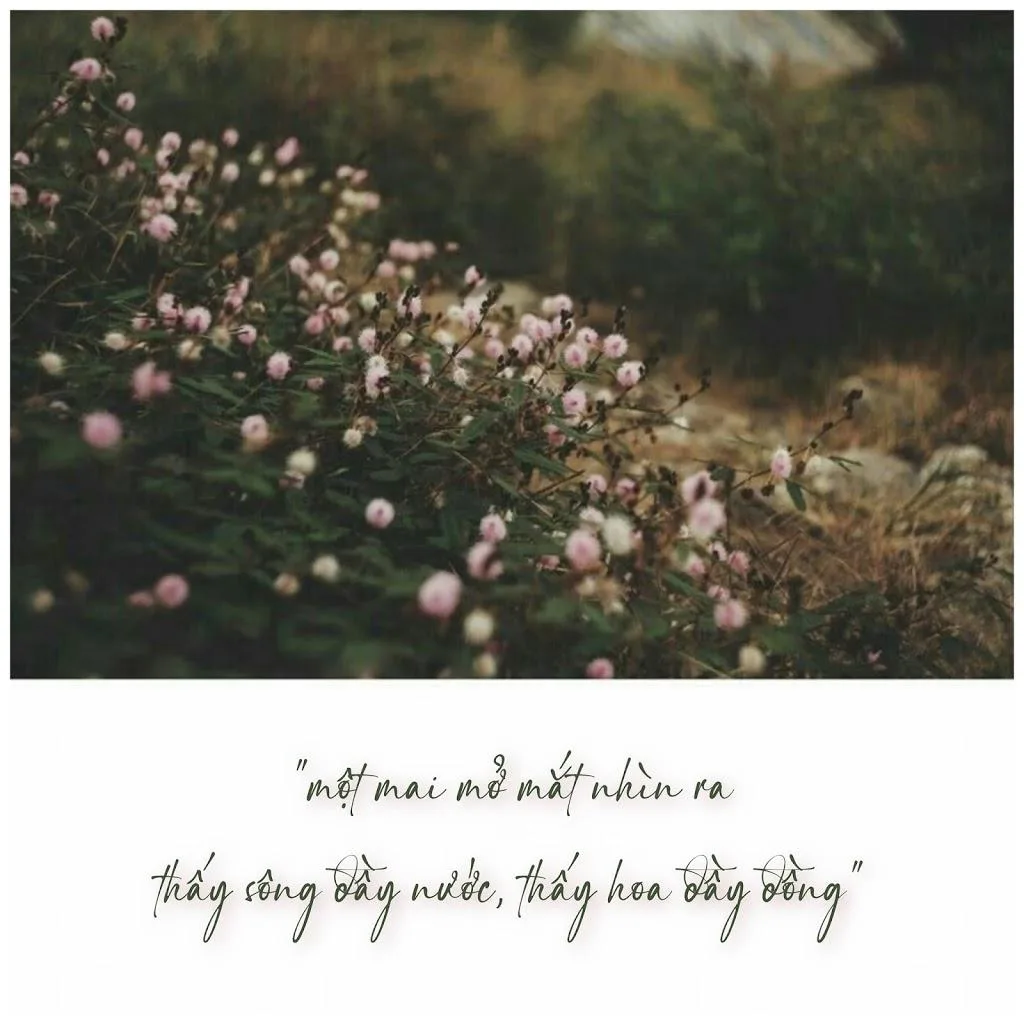 Font chữ ký siêu đẹp sign rathi việt hóa