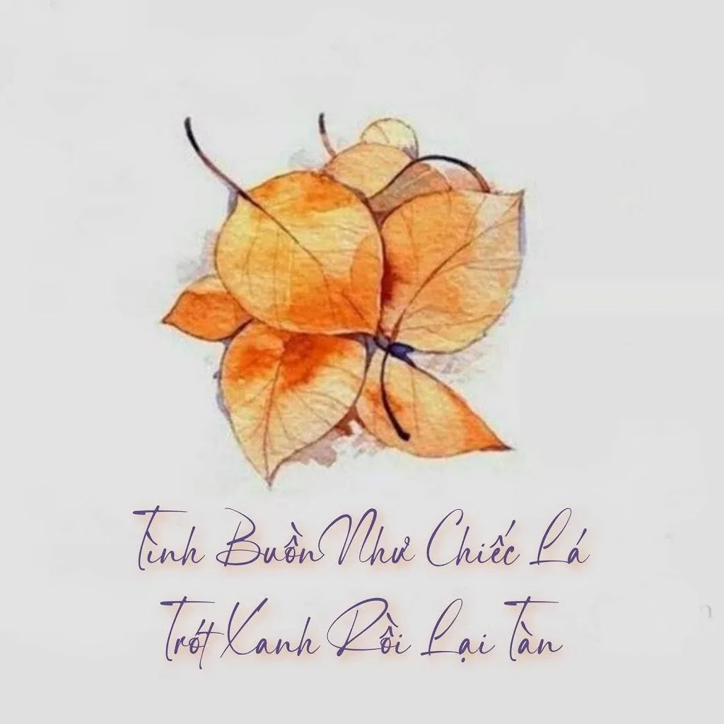 Font chữ ký siêu đẹp sign rathi việt hóa