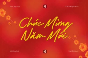 Demo Font việt hóa 1K Black Signature